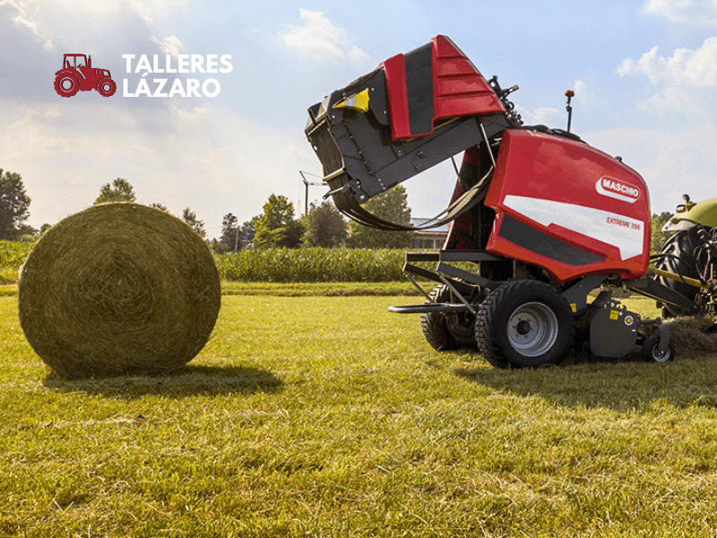 MASCHIO GASPARDO HENIFICACIÓN
